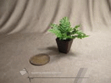 この商品の記事を見る